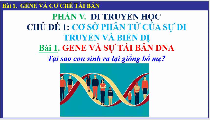 Bài 1 GENE VÀ CƠ CHẾ  TÁI BẢN sách Cánh Diều